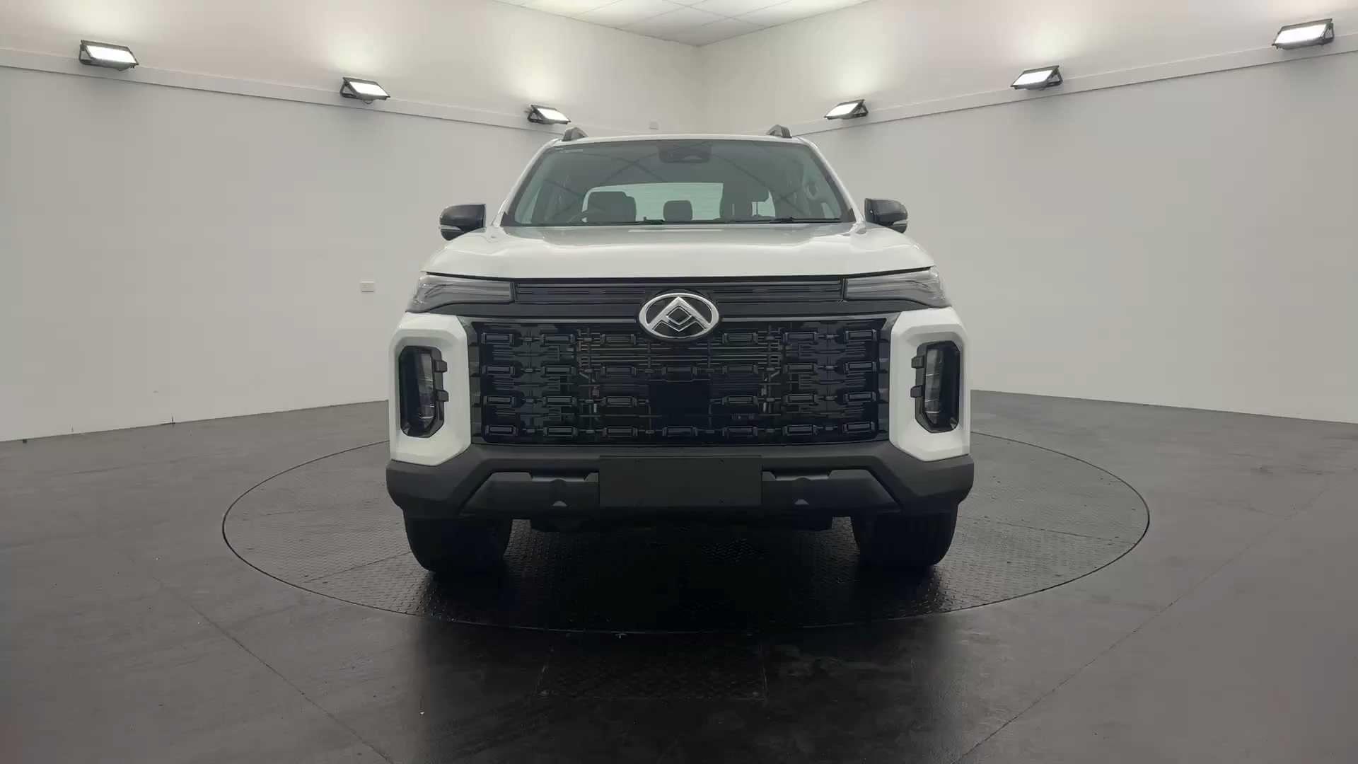 Primary car image